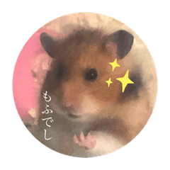 [LINEスタンプ] もふもふのもふでし