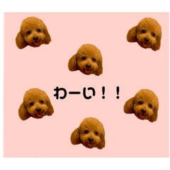 [LINEスタンプ] まろんくん29