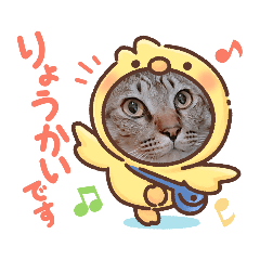 [LINEスタンプ] かわいいにゃんずミックス