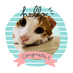 [LINEスタンプ] にゃんスタGood