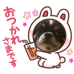 [LINEスタンプ] らいむの日常 6