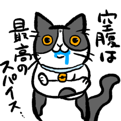 [LINEスタンプ] ハチワレ猫大福！