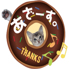 [LINEスタンプ] こねこ☆すたんぷ☆16