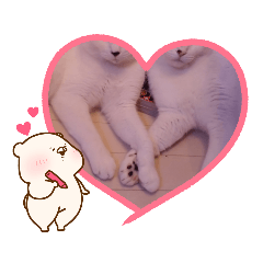 [LINEスタンプ] うーにゃんみーにゃん03
