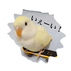 [LINEスタンプ] コザクラのポポちゃん