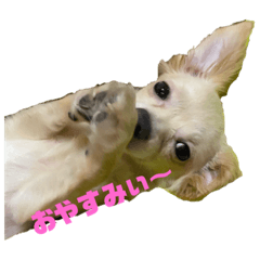 [LINEスタンプ] subako6