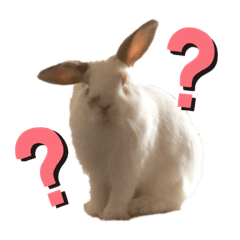 [LINEスタンプ] ぽぽんですよ。