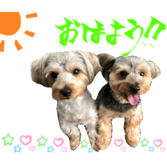 [LINEスタンプ] そらいろすたんぷ