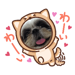 [LINEスタンプ] 我が家のシーズー犬もじゃ 16