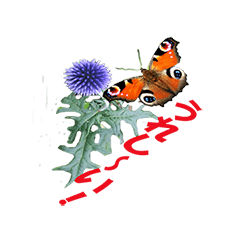[LINEスタンプ] 蝶が舞い飛ぶスタンプ