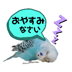 [LINEスタンプ] わが家のインコ達 2