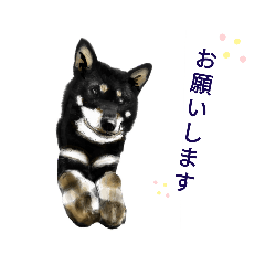 [LINEスタンプ] 牛丼おじさんスタンプ2(さのっち)