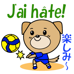 [LINEスタンプ] バレーボール犬 フランス語と日本語の画像（メイン）