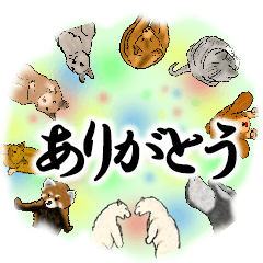 [LINEスタンプ] スタンプにある動物園の画像（メイン）