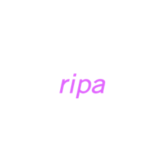 [LINEスタンプ] ripa！