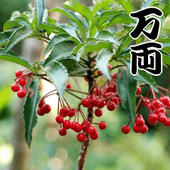 [LINEスタンプ] 縁起の良い植物スタンプ