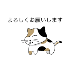 [LINEスタンプ] ミケネコの日常