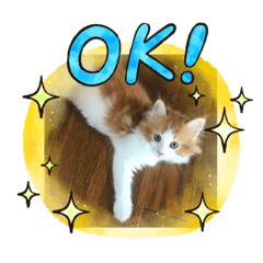 [LINEスタンプ] メイくんがいっぱい（Baby期）