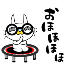 [LINEスタンプ] まるめがネコ とらんぽ しろ -白背景 会話1