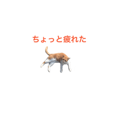 [LINEスタンプ] のどかな感じのスタンプ