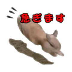 [LINEスタンプ] 仕事で使える子ウサギ（Tony ＆ Peter）
