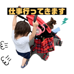 [LINEスタンプ] かっくんです！