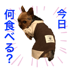 [LINEスタンプ] 麦ポポスタンプ①