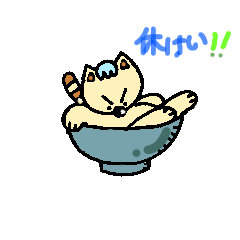 [LINEスタンプ] 笑わないネコ