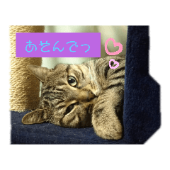 [LINEスタンプ] れお るか②