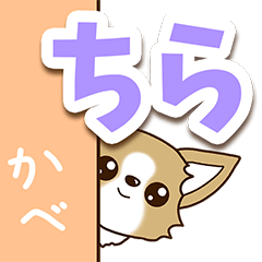 [LINEスタンプ] チワワ 犬スタンプ【くっきり大文字】