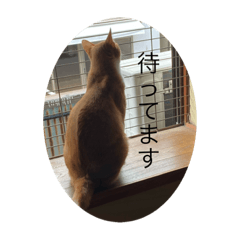 [LINEスタンプ] 猫のちくわちゃん