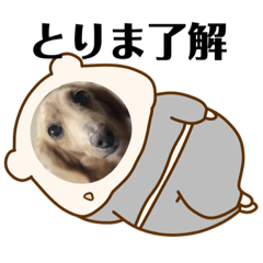 [LINEスタンプ] 今日もマイペーススミレちゃんスタンプ