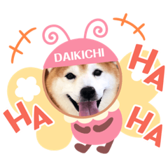 [LINEスタンプ] 柴犬大福スタンプ2020.9