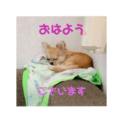 [LINEスタンプ] 天心スタンプ4