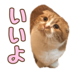[LINEスタンプ] ももなつまみ