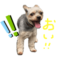 [LINEスタンプ] わるがきソラとなかまたち2