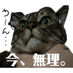 [LINEスタンプ] いくらちゃん3