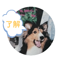 [LINEスタンプ] りっちゃんママとリック