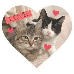 [LINEスタンプ] うっしーももぬー