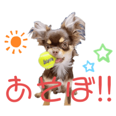 [LINEスタンプ] チャックだよ〜