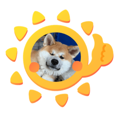 [LINEスタンプ] 秋田犬の禄三郎
