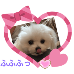 [LINEスタンプ] 又々又れんとまりん