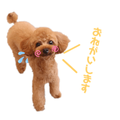 [LINEスタンプ] 角田ラキちゃん