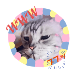[LINEスタンプ] にゃんいっぱい