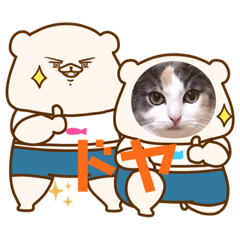 [LINEスタンプ] ももの生活5