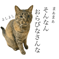 [LINEスタンプ] 北九弁入ってます-3