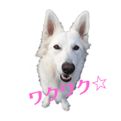 [LINEスタンプ] meiんちスタンプ