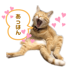 [LINEスタンプ] 松風だらけ①