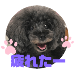 [LINEスタンプ] ふわふわ  オスマシ♡お姫様