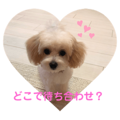 [LINEスタンプ] ふわふわベルちゃん第3弾